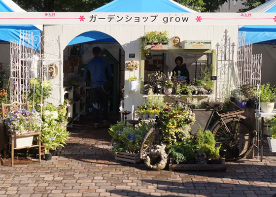 花フェスタ2016札幌より「花市場」