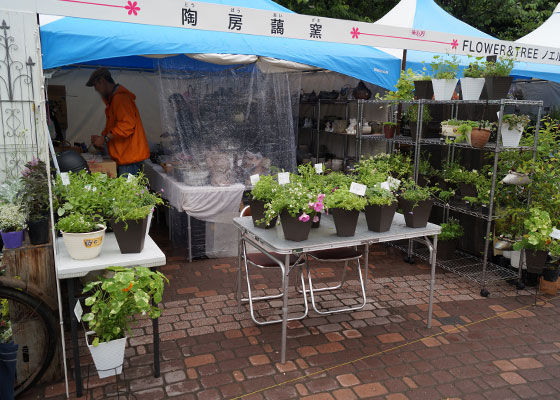 花フェスタ2016札幌より「花市場」