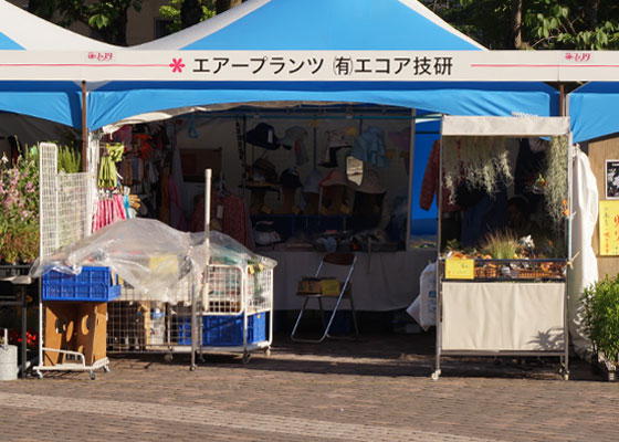 花フェスタ2016札幌より「花市場」