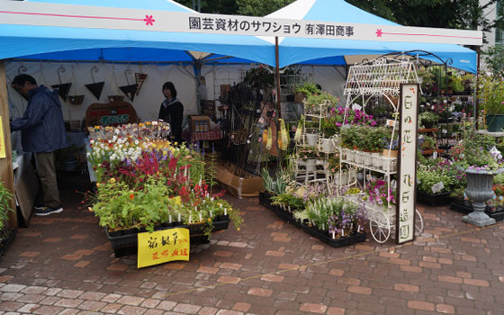 花フェスタ2016札幌より「花市場」