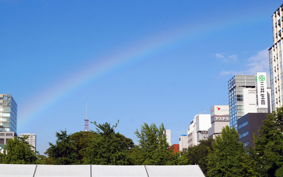 花フェスタ2016札幌より「花市場」