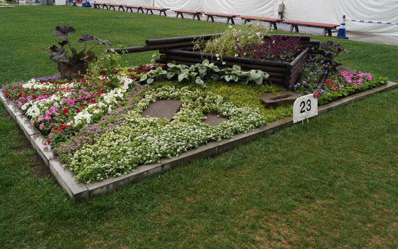 花フェスタ2016札幌より「大通花壇コンクール」