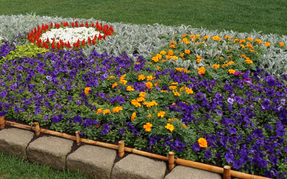 花フェスタ2016札幌より「大通花壇コンクール」