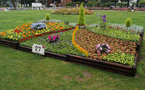 花フェスタ2016札幌より「大通花壇コンクール」