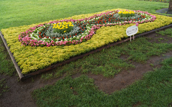 花フェスタ2016札幌より「大通花壇コンクール」