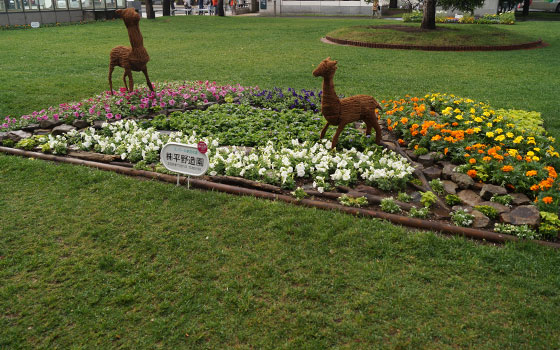 花フェスタ2016札幌より「大通花壇コンクール」