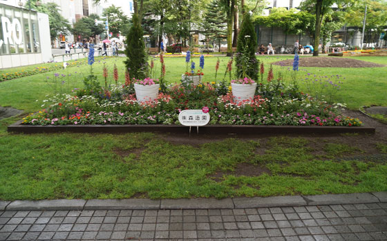 花フェスタ2016札幌より「大通花壇コンクール」