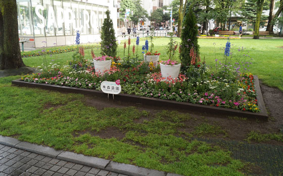 花フェスタ2016札幌より「大通花壇コンクール」