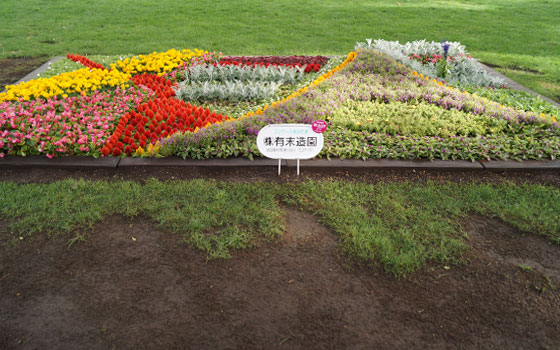 花フェスタ2016札幌より「大通花壇コンクール」