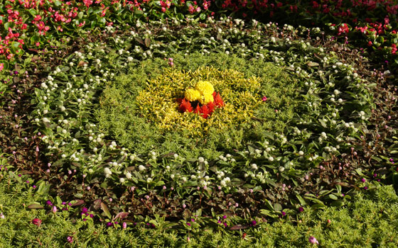 花フェスタ2016札幌より「大通花壇コンクール」