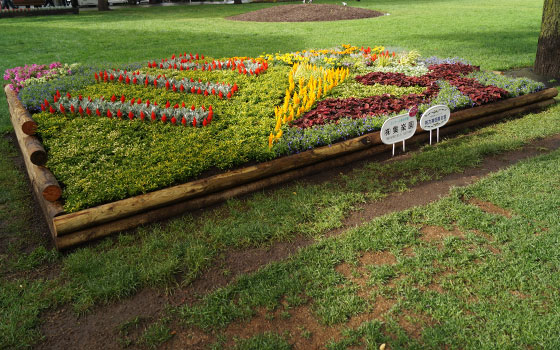 花フェスタ2016札幌より「大通花壇コンクール」