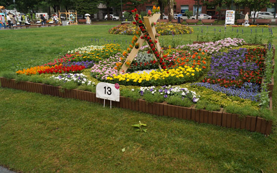 花フェスタ2016札幌より「大通花壇コンクール」