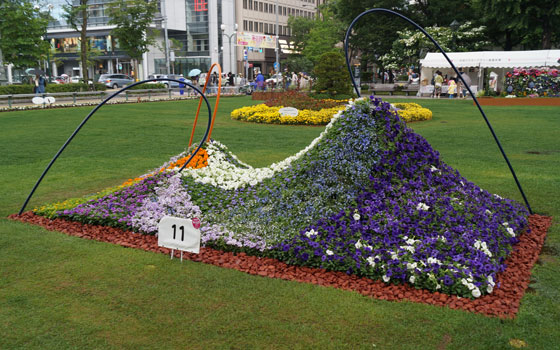 花フェスタ2016札幌より「大通花壇コンクール」