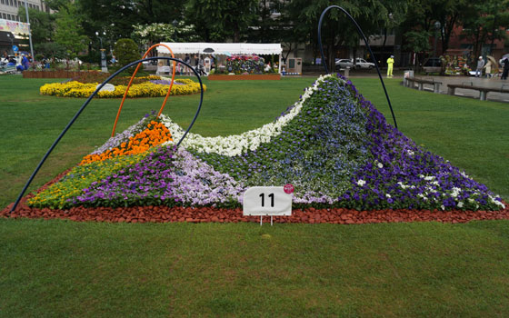 花フェスタ2016札幌より「大通花壇コンクール」