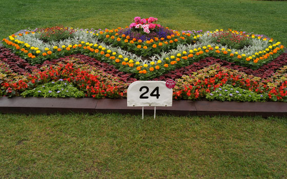 花フェスタ2016札幌より「大通花壇コンクール」