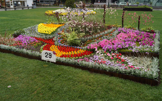 花フェスタ2016札幌より「大通花壇コンクール」