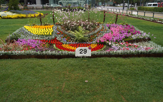 花フェスタ2016札幌より「大通花壇コンクール」