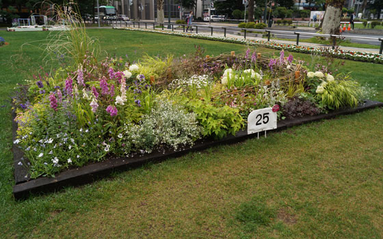 花フェスタ2016札幌より「大通花壇コンクール」