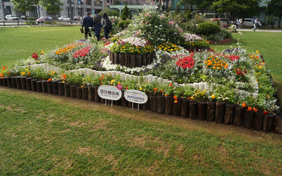 花フェスタ2016札幌より「大通花壇コンクール」