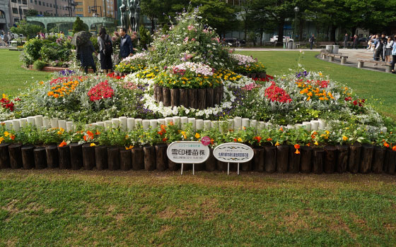 花フェスタ2016札幌より「大通花壇コンクール」