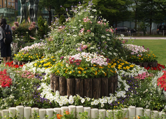 花フェスタ2016札幌より「大通花壇コンクール」