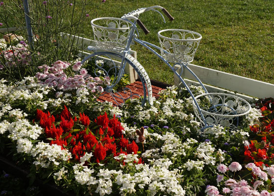 花フェスタ2016札幌より「大通花壇コンクール」