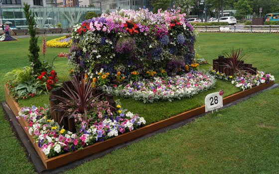 花フェスタ2016札幌より「大通花壇コンクール」