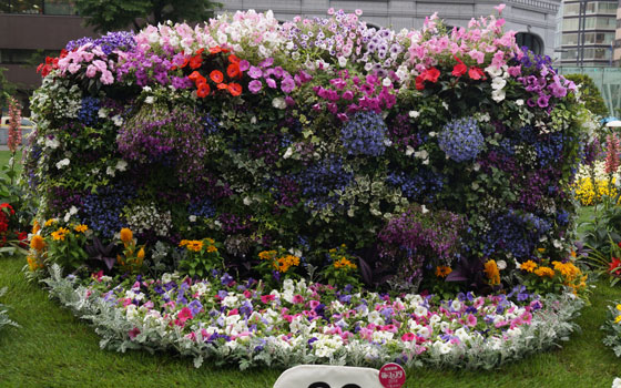 花フェスタ2016札幌より「大通花壇コンクール」