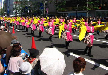 第19回YOSAKOIソーラン祭り(コンサフリーク〜北海道武蔵女子短期大学〜)2 第19回YOSAKOIソーラン祭り(コンサフリーク〜北海道武蔵女子短期大学〜)2