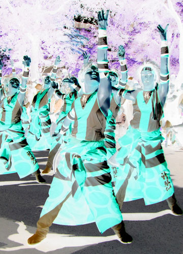 第19回YOSAKOIソーラン祭り（新琴似天舞龍神）7の階調反転写真