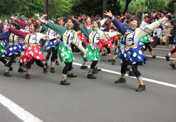 第21回YOSAKOIソーラン祭りより「藤・北大&ホンダカーズ北海道」 第21回YOSAKOIソーラン祭りより「藤・北大&ホンダカーズ北海道」