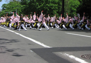第22回YOSAKOIソーラン祭りより「森未来人」 第22回YOSAKOIソーラン祭りより「森未来人」