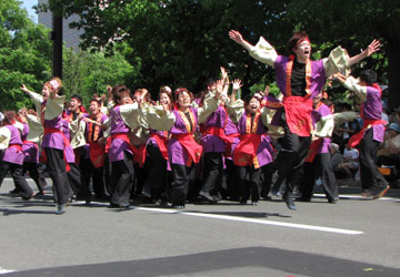 第22回YOSAKOIソーラン祭りより「佛教大学よさこいサークル紫踊屋」