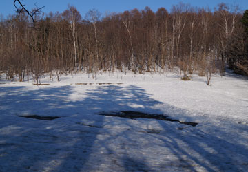 雪融け中の公園にて 1 雪融け中の公園にて 1