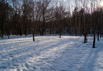 雪融け中の公園にて 1 雪融け中の公園にて 1