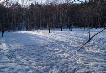 雪融け中の公園にて 2 雪融け中の公園にて 2