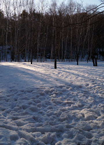 雪融け中の公園にて 3 雪融け中の公園にて 3