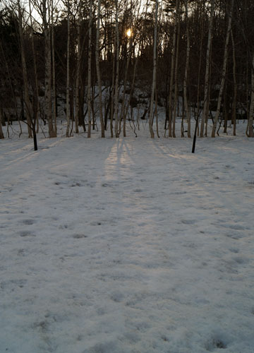 雪融け中の公園にて 7 雪融け中の公園にて 7