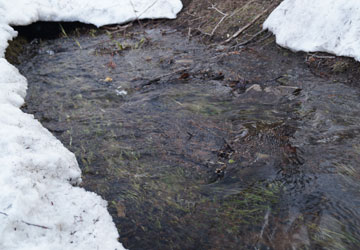 雪融け中の公園にて 26 雪融け中の公園にて 26