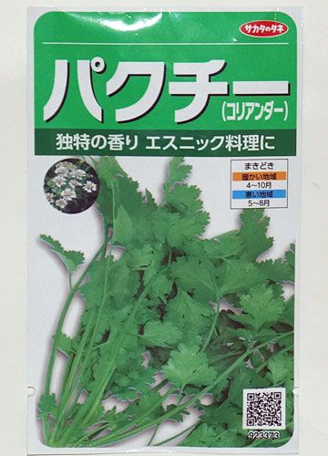 「パクチー（コリアンダー）」テキトー栽培記