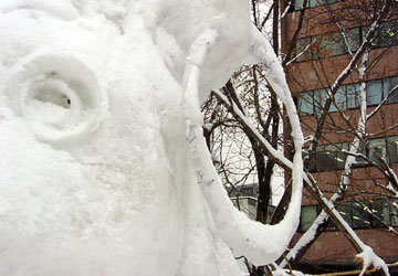 2007年さっぽろ雪まつり「馬の耳にイヤリング（大通会場）」2