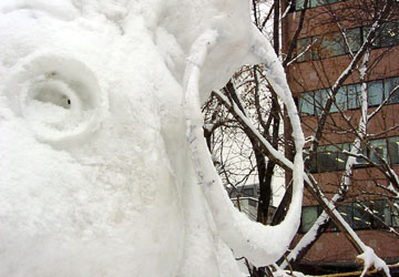 2007年さっぽろ雪まつり「馬の耳にイヤリング(大通会場)」2 2007年さっぽろ雪まつり「馬の耳にイヤリング(大通会場)」2