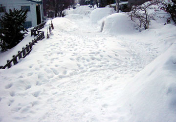 「第10回小樽雪あかりの路」開催数日前の様子 13