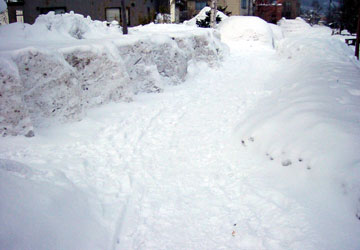 「第10回小樽雪あかりの路」開催数日前の様子 14