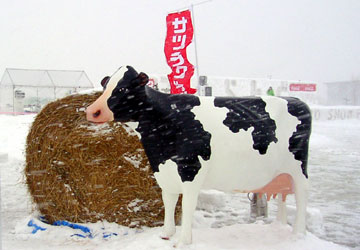 2007年さっぽろ雪まつり「サツラクPARK」 2007年さっぽろ雪まつり「サツラクPARK」