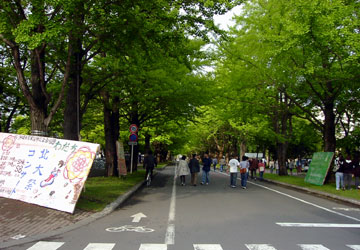 第50回 北大祭 1 第50回 北大祭 1